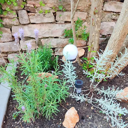 Center - With A Beautiful Terrace Lägenhet *