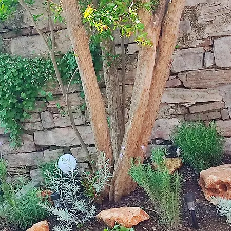 דירה Center - With A Beautiful Terrace *